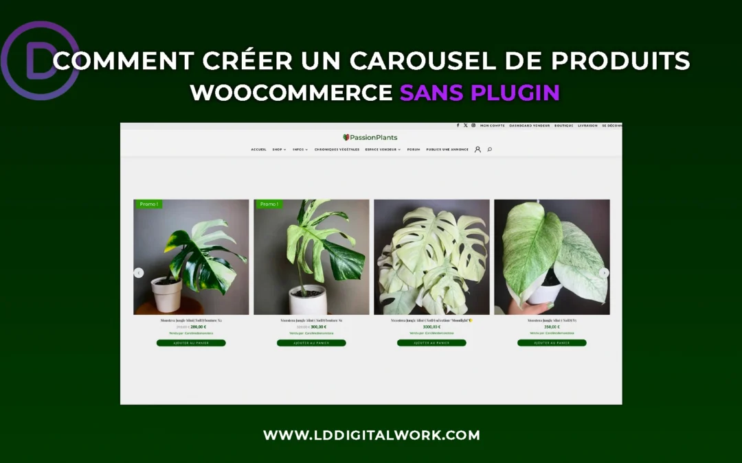 Comment réaliser un carousel de produits Woocommerce avec Divi et Slick.js